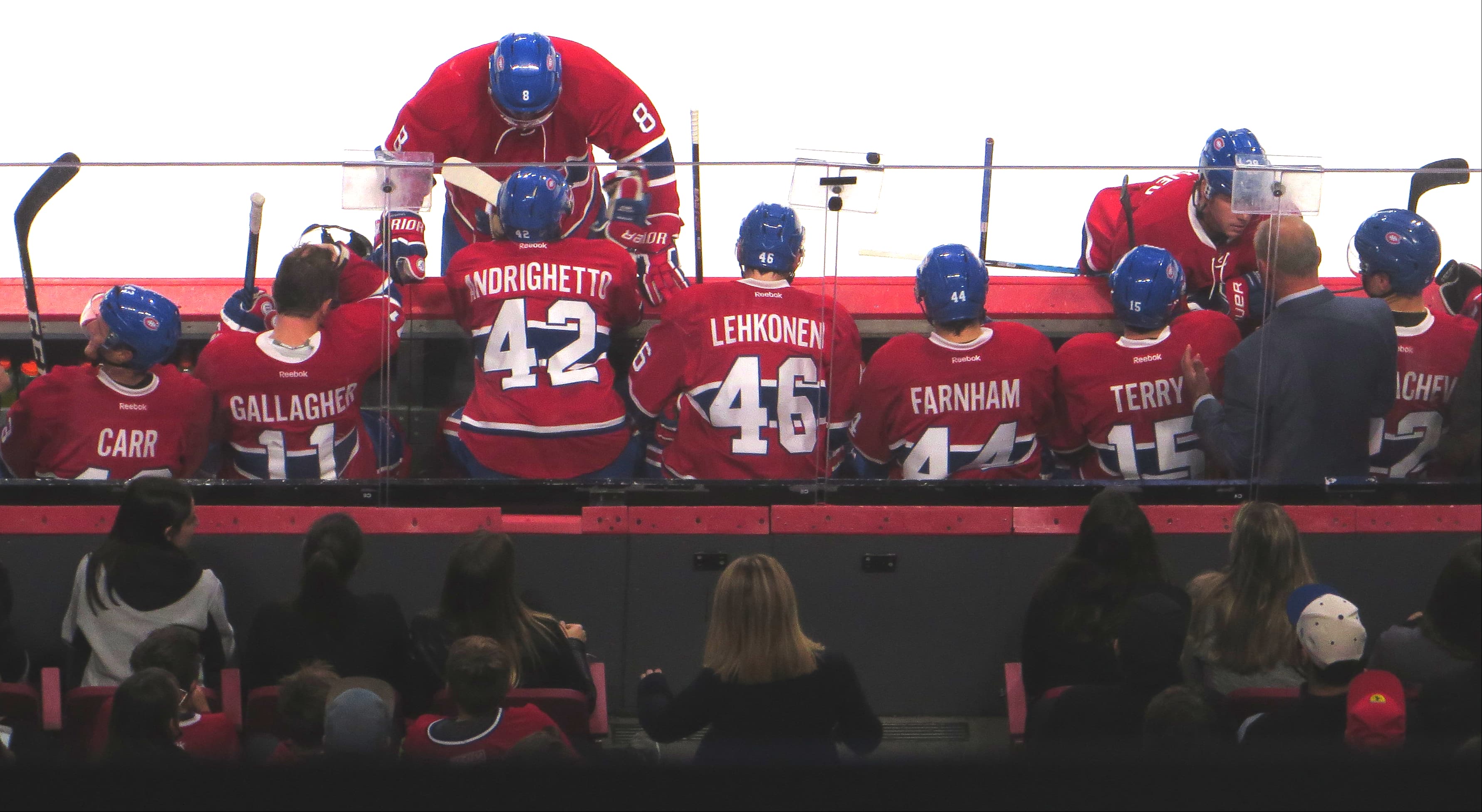 On Thin Ice - The National Hockey League committee image