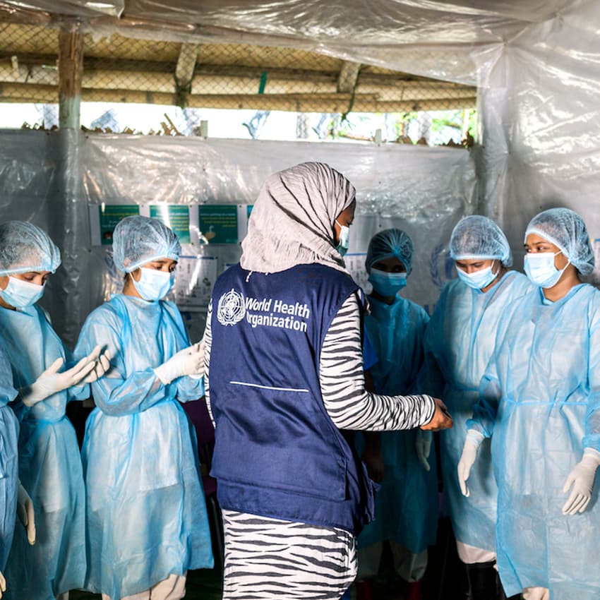 World Health Organization (WHO) committee image